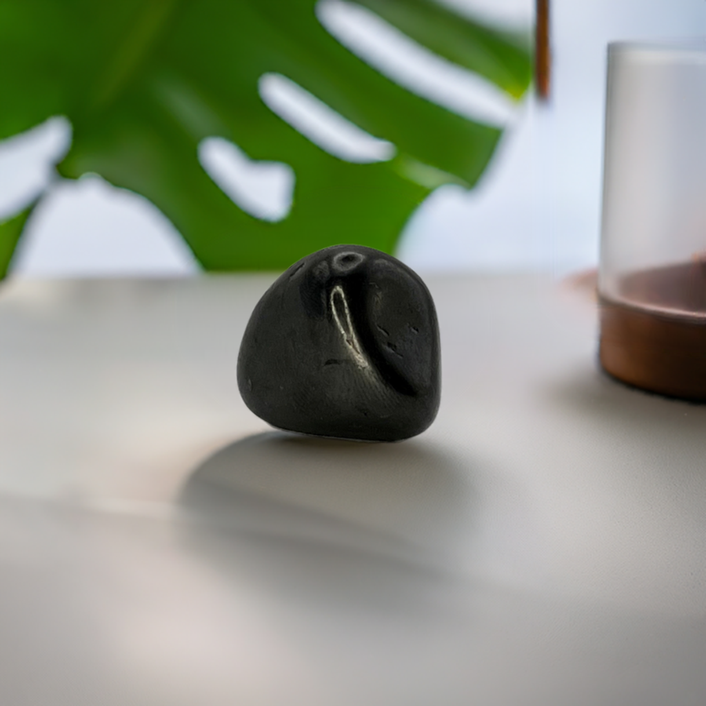 Shunite Tumbled Stone