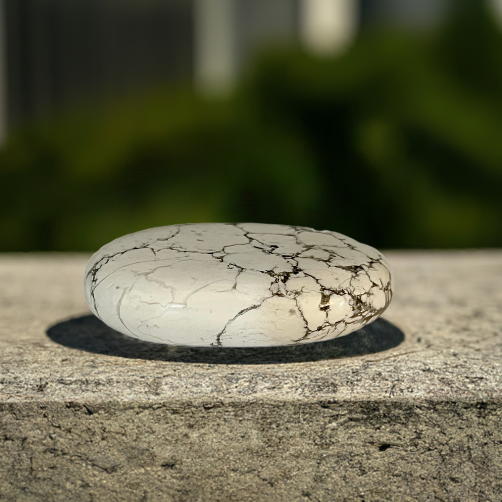 Howlite Palm Stone