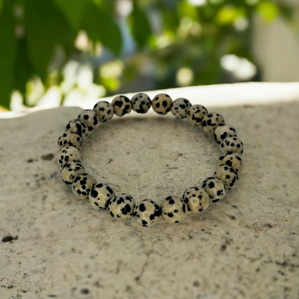 Dalmatian Jasper Bracelet