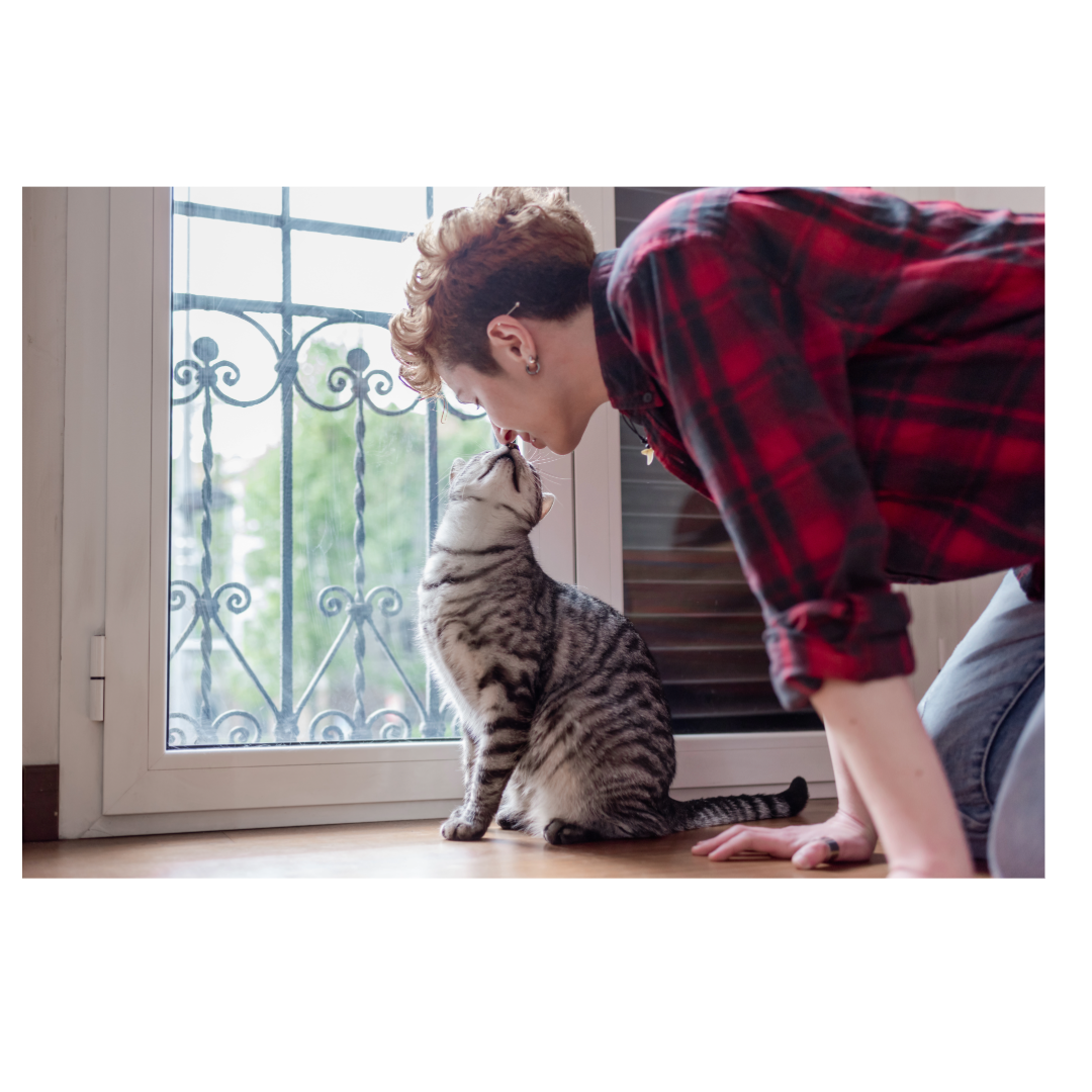 Pet Reiki