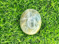 Aquamarine Palm Stone