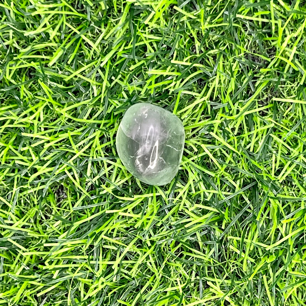 
                  
                    Rainbow Fluorite Tumbled Stone
                  
                