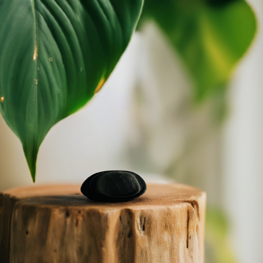 Black Obsidian Tumbled Stone