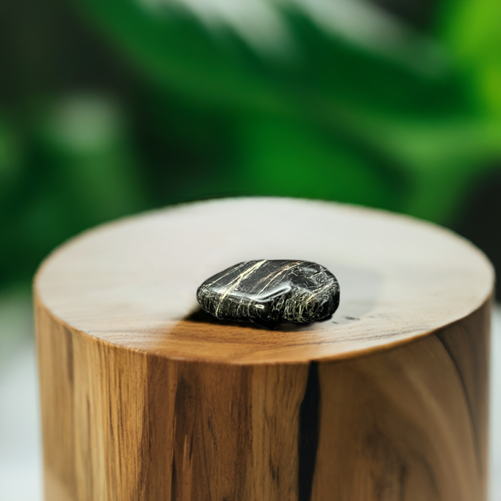 Black Tourmaline Tumbled Stone