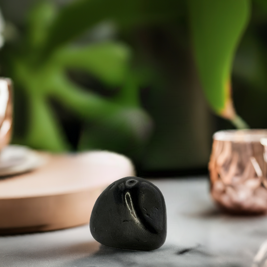 Shungite Tumbled Stone