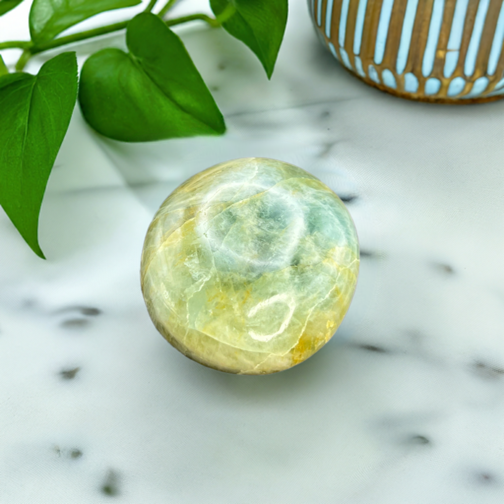 
                  
                    Aquamarine Palm Stone
                  
                