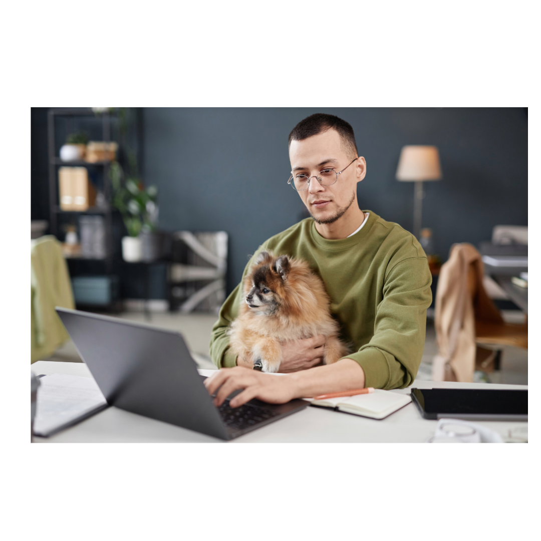 Pet Reiki